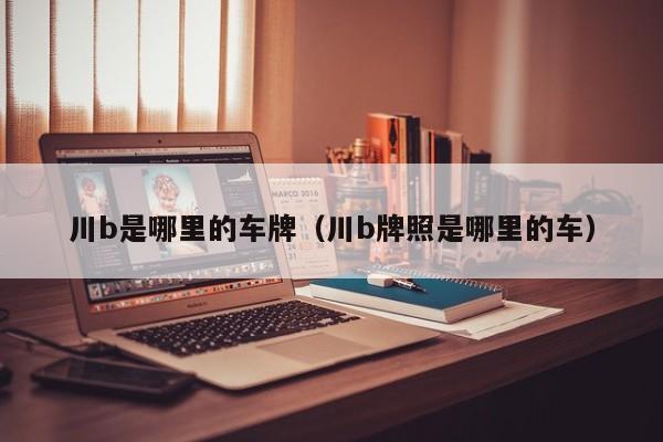 川b是哪里的车牌(川b牌照是哪里的车)