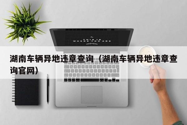 湖南车辆异地违章查询(湖南车辆异地违章查询官网)