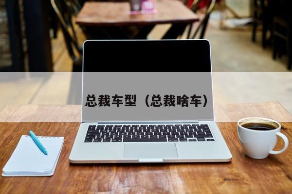 总裁车型(总裁啥车)