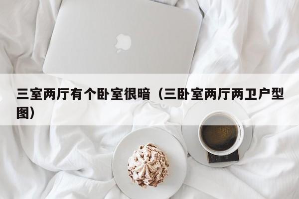 三室两厅有个卧室很暗(三卧室两厅两卫户型图)