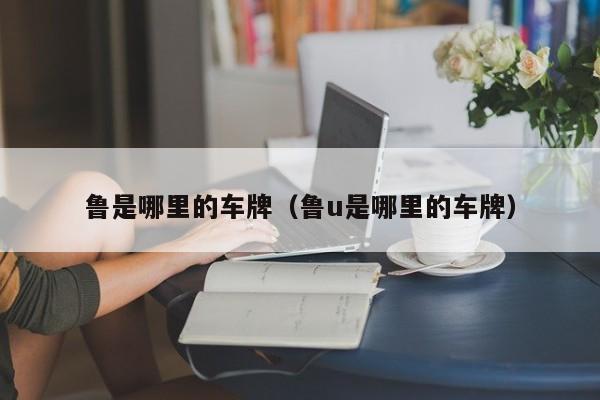 鲁是哪里的车牌(鲁u是哪里的车牌)