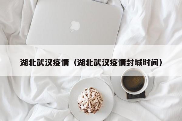 湖北武汉疫情(湖北武汉疫情封城时间)