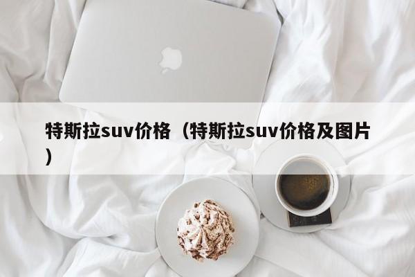特斯拉suv价格(特斯拉suv价格及图片)