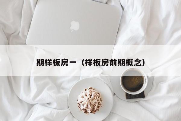 期样板房一(样板房前期概念)