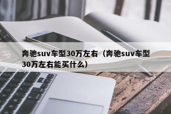 奔驰suv车型30万左右(奔驰suv车型30万左右能买什么)