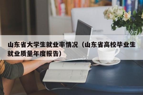 山东省大学生就业率情况(山东省高校毕业生就业质量年度报告)