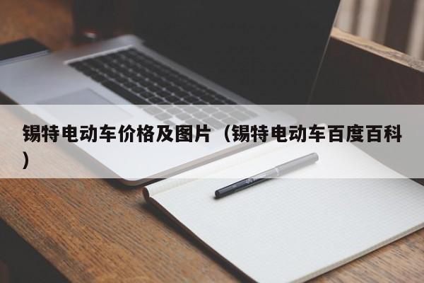 锡特电动车价格及图片(锡特电动车百度百科)