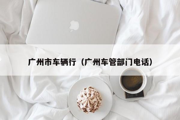 广州市车辆行(广州车管部门电话)