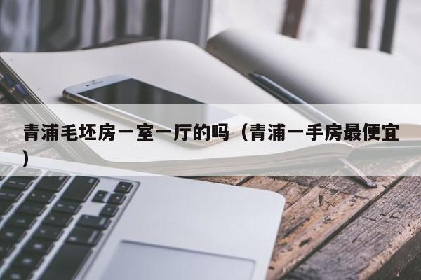 青浦毛坯房一室一厅的吗(青浦一手房最便宜)