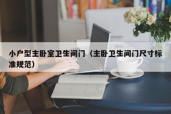 小户型主卧室卫生间门(主卧卫生间门尺寸标准规范)