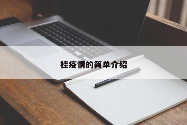 桂疫情的简单介绍