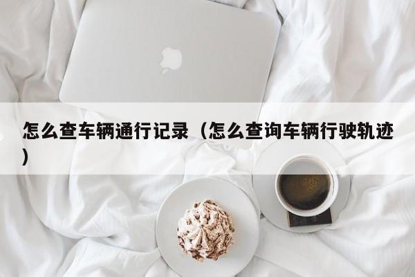 怎么查车辆通行记录(怎么查询车辆行驶轨迹)